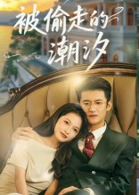 被偷走的潮汐（60集）短剧全集在此免费观看