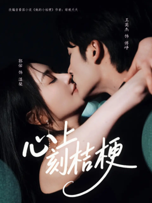 心上刻桔梗（90集）看短剧放松一下