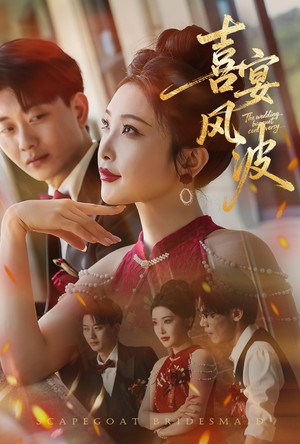 喜宴风波（30集）让你一口气看完短剧