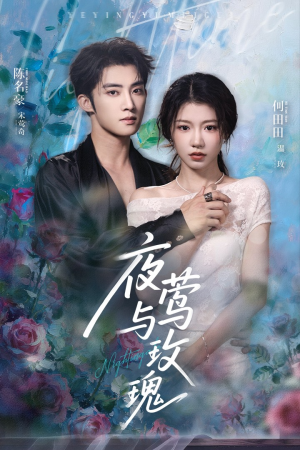 夜莺与玫瑰（66集）好看又上头的短剧太解气了