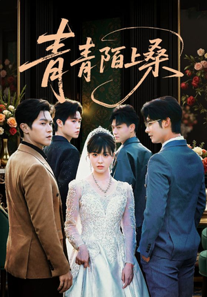 青青陌上桑（70集）短剧上头一起来追