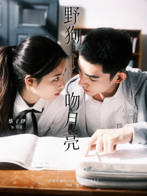 野狗吻月亮（68集）全剧短剧看到大结局