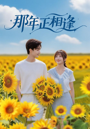 那年正相逢（60集）在线免费观看热门短剧