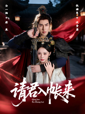 请君入帐来（63集）热播短剧持续更新中