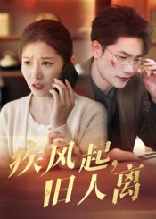 疾风起旧人离（32集）短剧太好看了吧