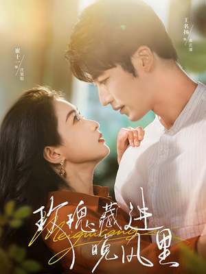 玫瑰藏进晚风里（68集）在线观看短剧完整版