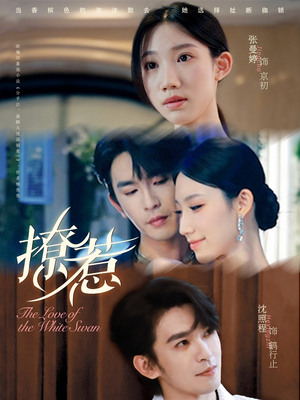 撩惹（80集）超级好看的短剧推荐