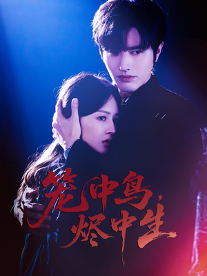 笼中鸟，烬中生（60集）追短剧太上头了