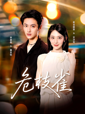 危枝雀（64集）爆款短剧追不停