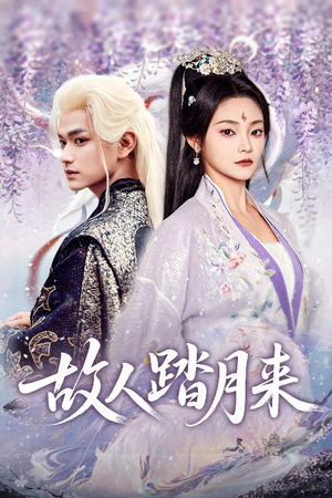 故人踏月来（60集）深夜短剧推荐精彩片段