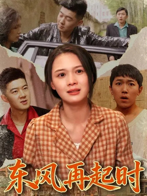 东风再起时（112集）热门短剧推荐网站