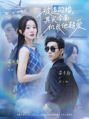 被迫闪婚其实冷面机长他超爱（77集）短剧热播全集免费追