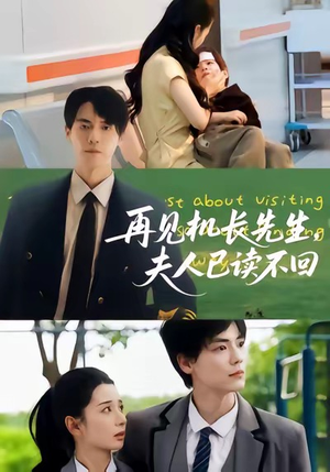 再见机长先生夫人已读不回（62集）热门短剧免费看