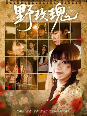 野玫瑰（82集）又一部超火短剧抢先看
