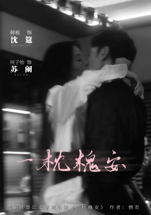 一枕槐安（80集）排行榜前十短剧任你看