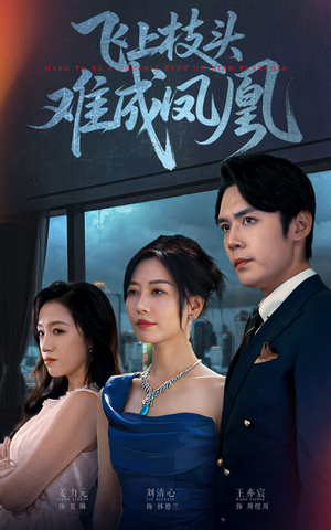 飞上枝头难成凤凰（47集）最新热剧短剧免费看