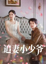 追妻小少爷（31集）短剧全集幕后花絮版