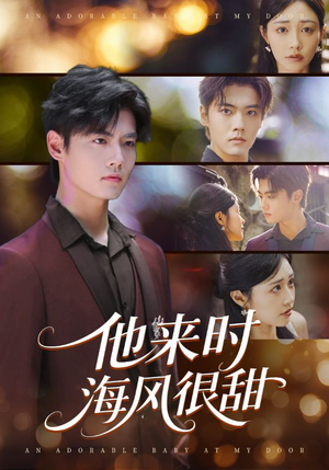 他来时海风很甜（60集）红果免费短剧看全集