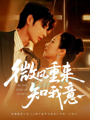 微风重来知我意（62集）真的太好看了短剧推荐
