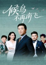 候鸟不再南飞（80集）最热门短剧来了