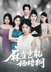 麻雀岂能栖梧桐（31集）火爆短剧来袭好看又上头的短