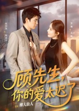 顾先生你的爱太迟了（60集）好看的短剧推荐