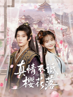 真情不诋樱花落（58集）爆款热播短剧抢先看