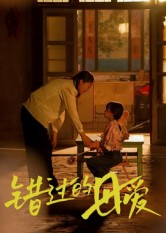 错过的母爱（32集）在线观影短剧全集免费看