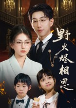 野火烬相思（61集）经典老剧短剧免费看