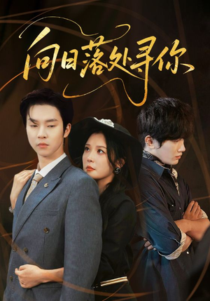 向日落处寻你（70集）短剧超清全集在线看