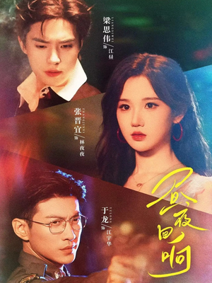 昼夜回响（76集）短剧排行榜前十名