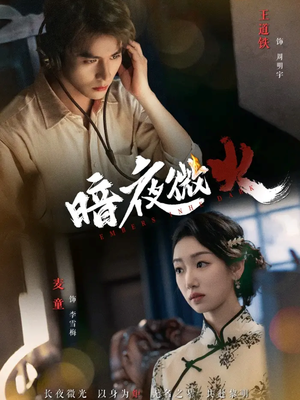 暗夜微火（80集）西瓜视频免费看短剧