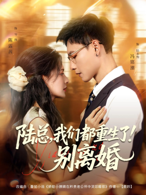 陆总我们都重生了别离婚（79集）精彩短剧看全集
