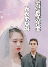 离婚后沈先生天天求复婚（100集）热播短剧抢先看全集