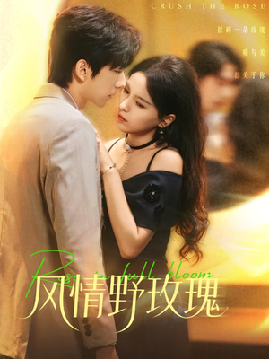 风情野玫瑰（70集）直接看到大结局的短剧
