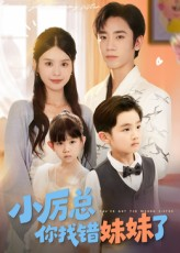 小厉总你找错妹妹了（52集）塞纳牧首部短剧精彩上播