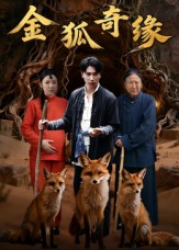 金狐奇缘（42集）短剧全集大结局完整版