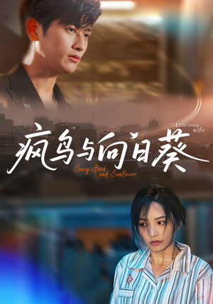 疯鸟与向日葵（40集）免费短剧看不停