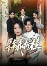 许我折桂（70集）分享好看的短剧