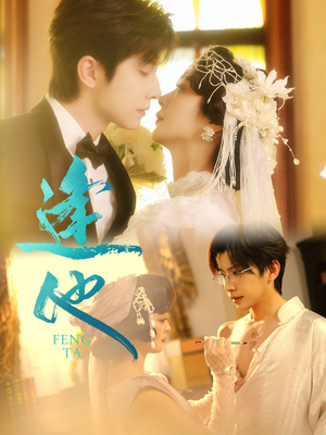 逢他（78集）精彩的网络短剧