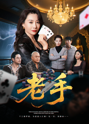 老手（36集）精彩免费短剧观看全集