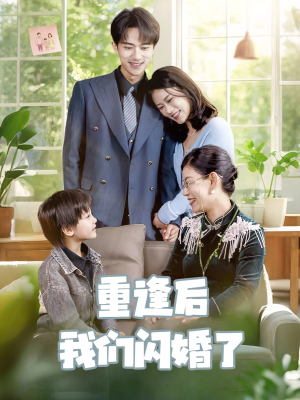 重逢后我们闪婚了（35集）短剧合集蓝光画质