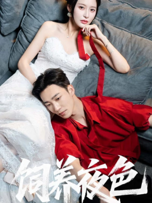 饲养夜色（86集）免费在线尽享全集短剧