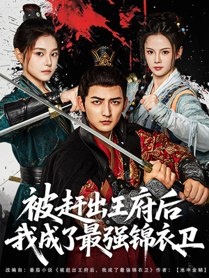被赶出王府后我成了最强锦衣卫（80集）热门短剧推荐推荐