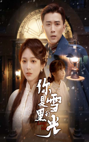 你是雪里的光（64集）红果天天免费看短剧