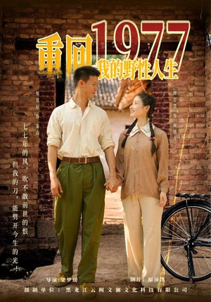 重回1977我的野性人生（83集）免费观看全集的短剧网站精选