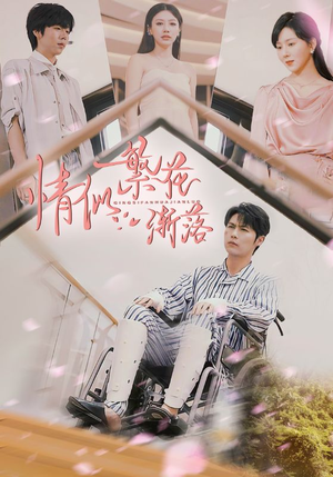 情似繁花渐落（62集）高分短剧推荐值得一看