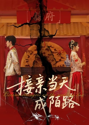 接亲当天成陌路（50集）好看上头的短剧