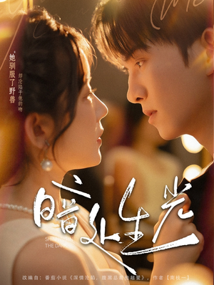 暗处生光（82集）忍不住一口气看到短剧大结局