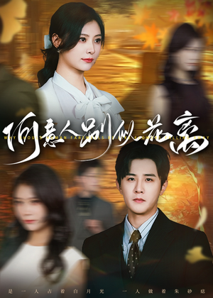 何意人别似花离（61集）这部短剧让人心动了